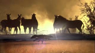 The Old Pbs Nature Sequence