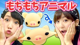 【クレーンゲーム】のびーる動物スクイーズ「もちっこあにまる」が超かわいい！