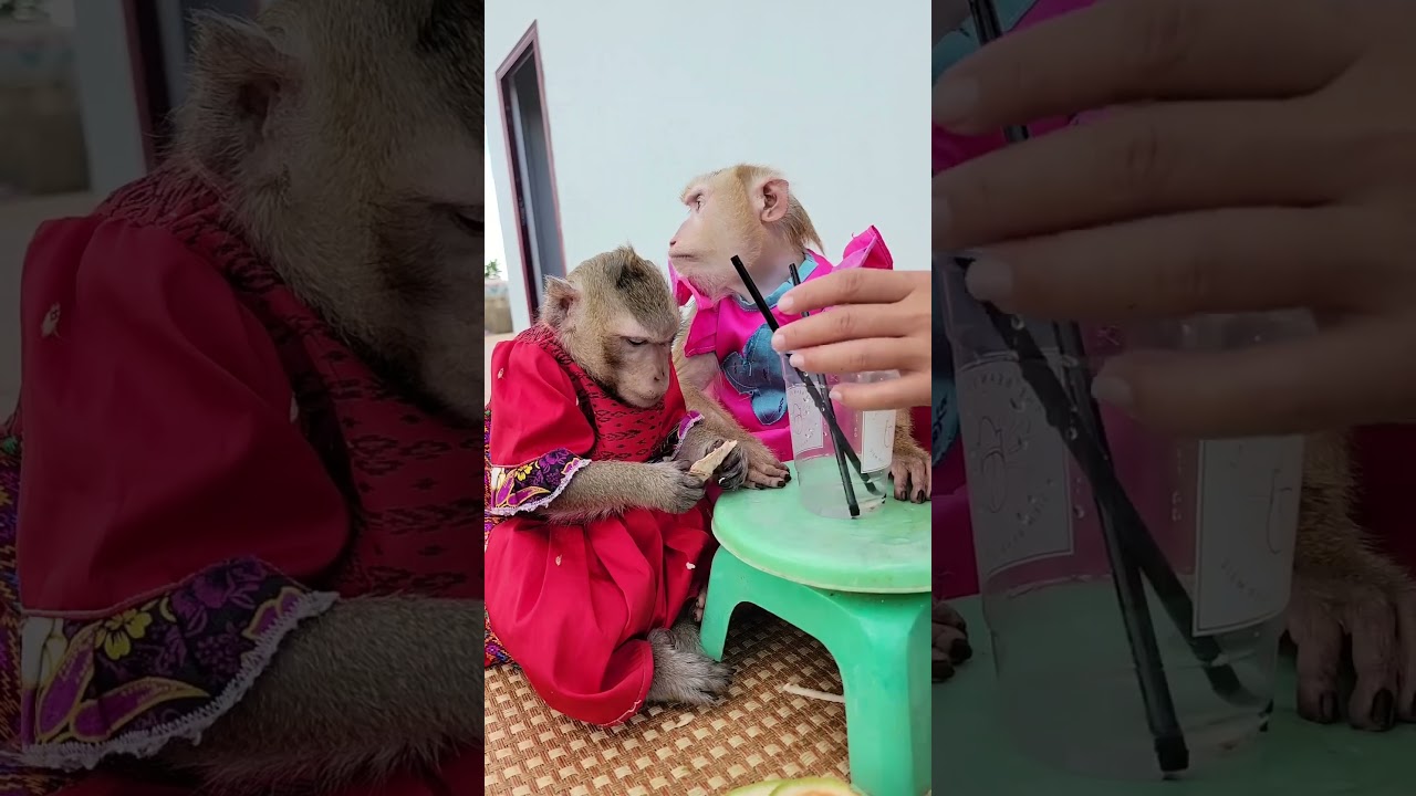 Today has coconut juice 🥥😁