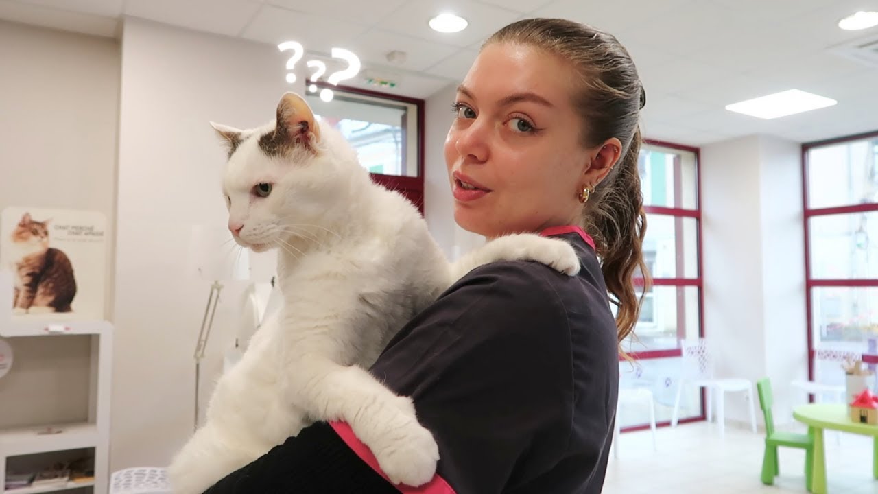 Être Auxiliaire Spécialisée Vétérinaire (A.S.V.) l L'ACCUEIL (part. 2)