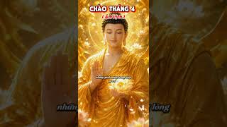 #giacngo #phatphapnhiemmau #loivangphatdaythichphaphoa#phongthuy #loiphatday #nammoadidaphat #buddha