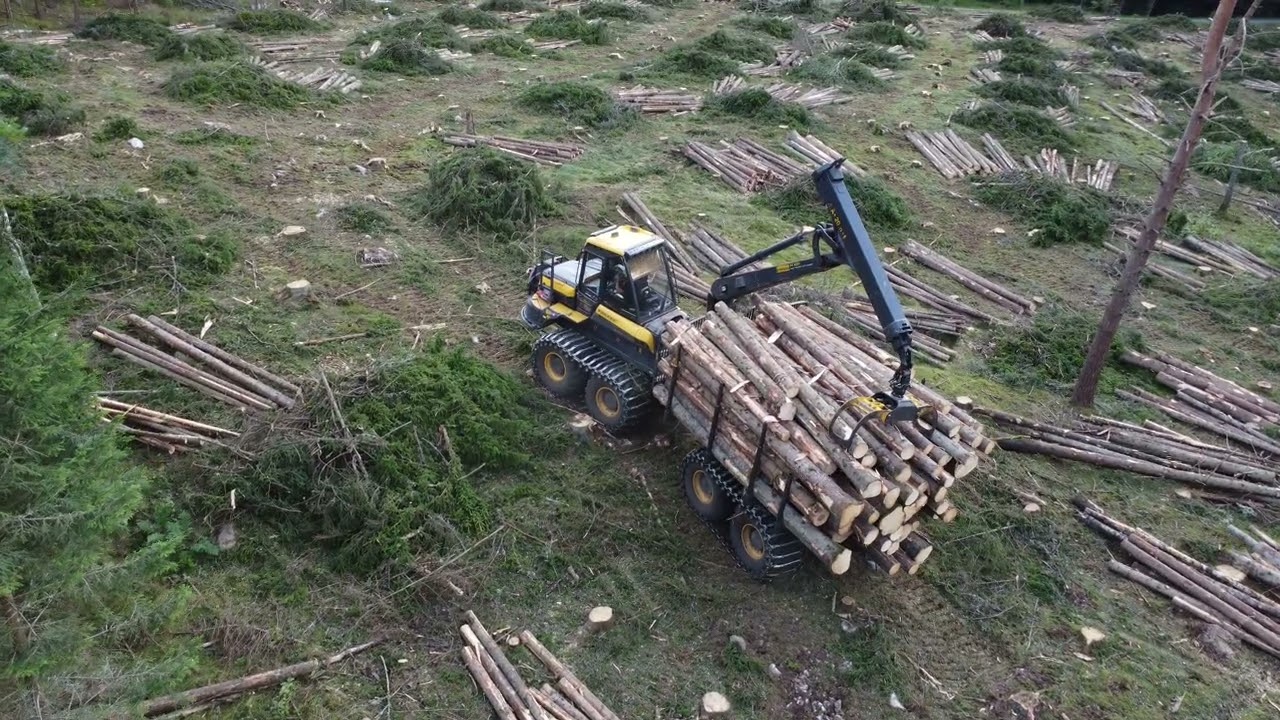 NR.20. Skotare ELEPHANT PONSSE skotar timmer i skomackarbacken.