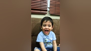 سورة الفاتحة