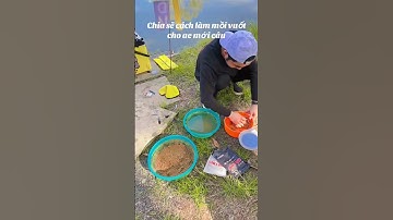 Hướng dẫn ae mới tập câu làm mồi vuốt, ae chuyên nghiệp thấy e thiếu sót mong chỉ dạy e thêm ạ❤️