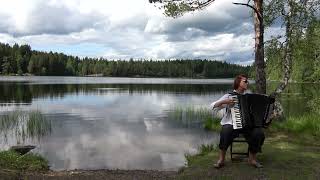 "Aldri" ❖ Evelina Petrova, accordion
