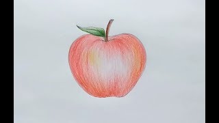 apple shading draw step beginners