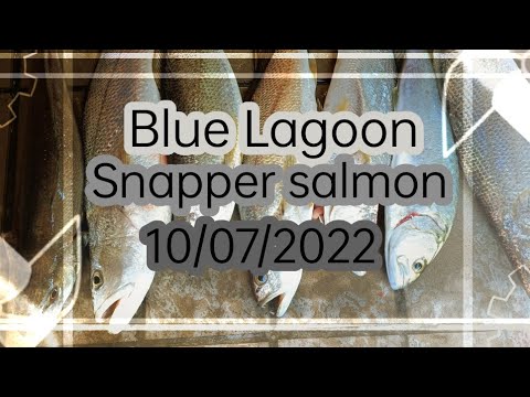 •Blue Lagoon-Snapper Salmon-10/07/2022• - YouTube