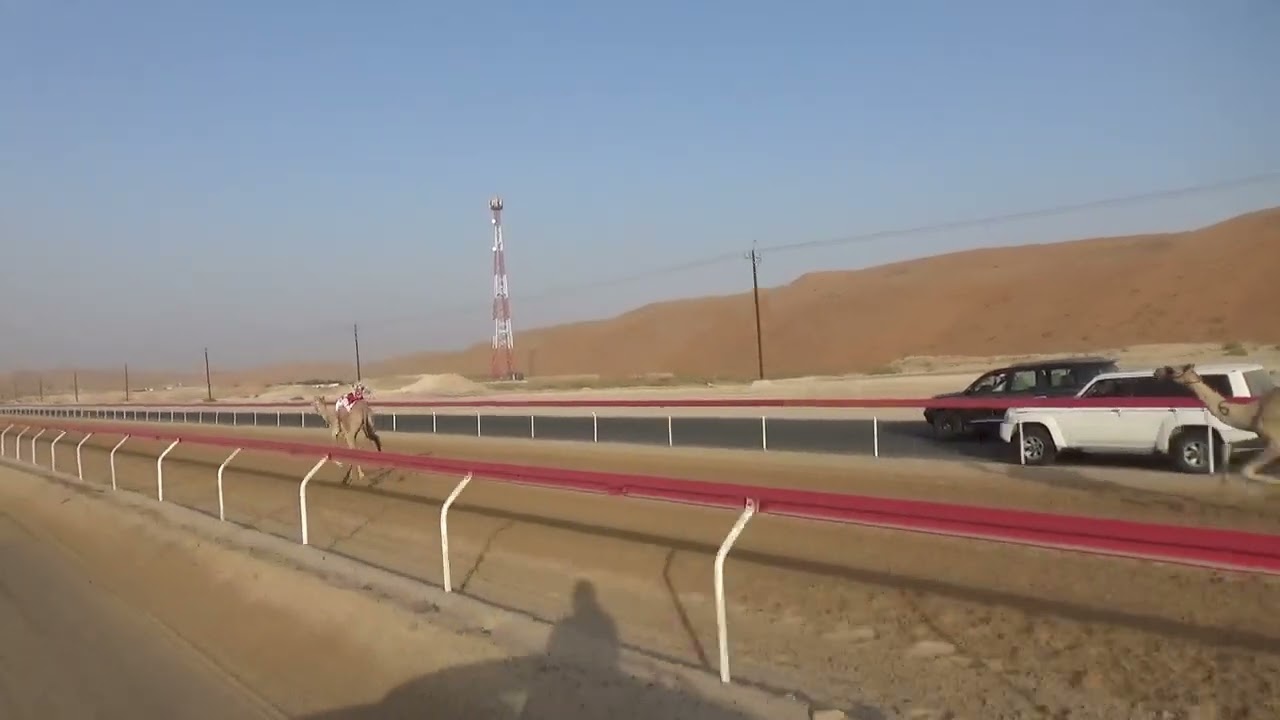 الشوط 10 :-  (ريمه) ل : جابر عمير حيي الهاملي توقيت 3.02.51