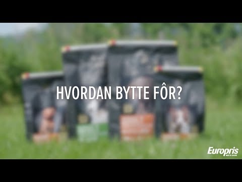 Video: Hvordan Bytte Hundemat