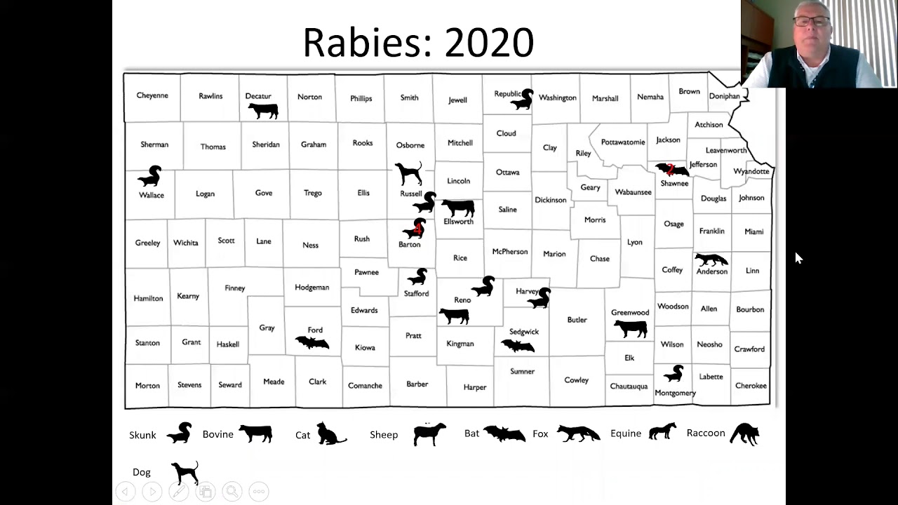 Kansas Disease Trends update 11-18-20