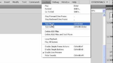 Shape and Motion Tweens