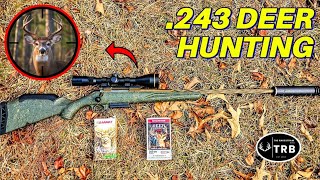 .243 Winchester Reality Check: Barnes vs Winchester Hunting