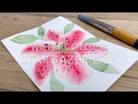 Watercolour Stargazer Lily