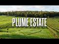 Plume Estate WA 🍇 | A Beautiful Hidden Gem in Western Australia