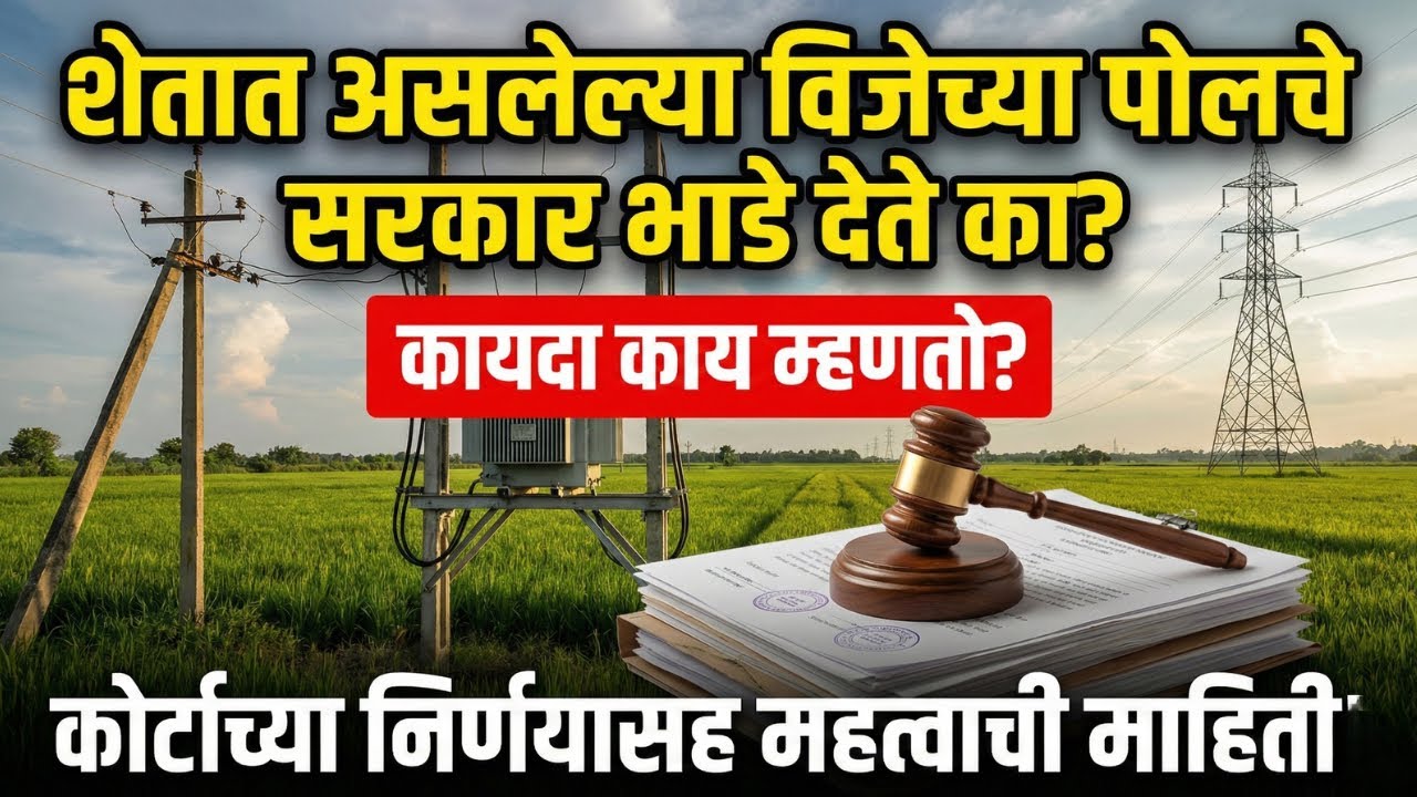 शेतात असलेल्या विजेच्या पोलचे सरकार भाडे देते का? कायदा काय म्हणतो? कोर्टाच्या निर्णयासह माहिती 