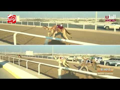 الشوط 6 لبصير ل حمد راشد محمد بن صفوه المري 9 08 71 ختامي الشحانية 2024 2 27 ايذاع الشحانية