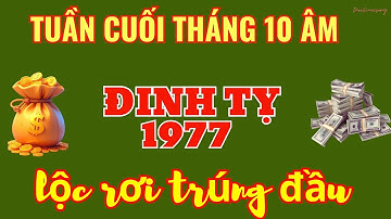 THẦN TÀI ĐẾN NHÀ! Đinh Tỵ 1977 - 7 Ngày Cuối Tháng 10 Âm: Tiền Về NHƯ MƯA