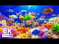 Aquarium 8K VIDEO ULTRA HD – Colorful Tropical Fish and Peaceful Coral Reef Relaxation