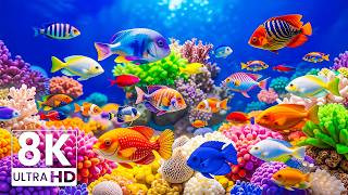 Aquarium 8K VIDEO ULTRA HD – Colorful Tropical Fish and Peaceful Coral Reef Relaxation