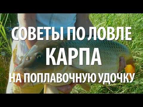 хитрости ловли карпа на поплавочную удочку