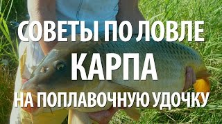 видео Все снасти для ловли карпа:  удилища и катушки, фидер, поплавочная удочка и волосяной монтаж