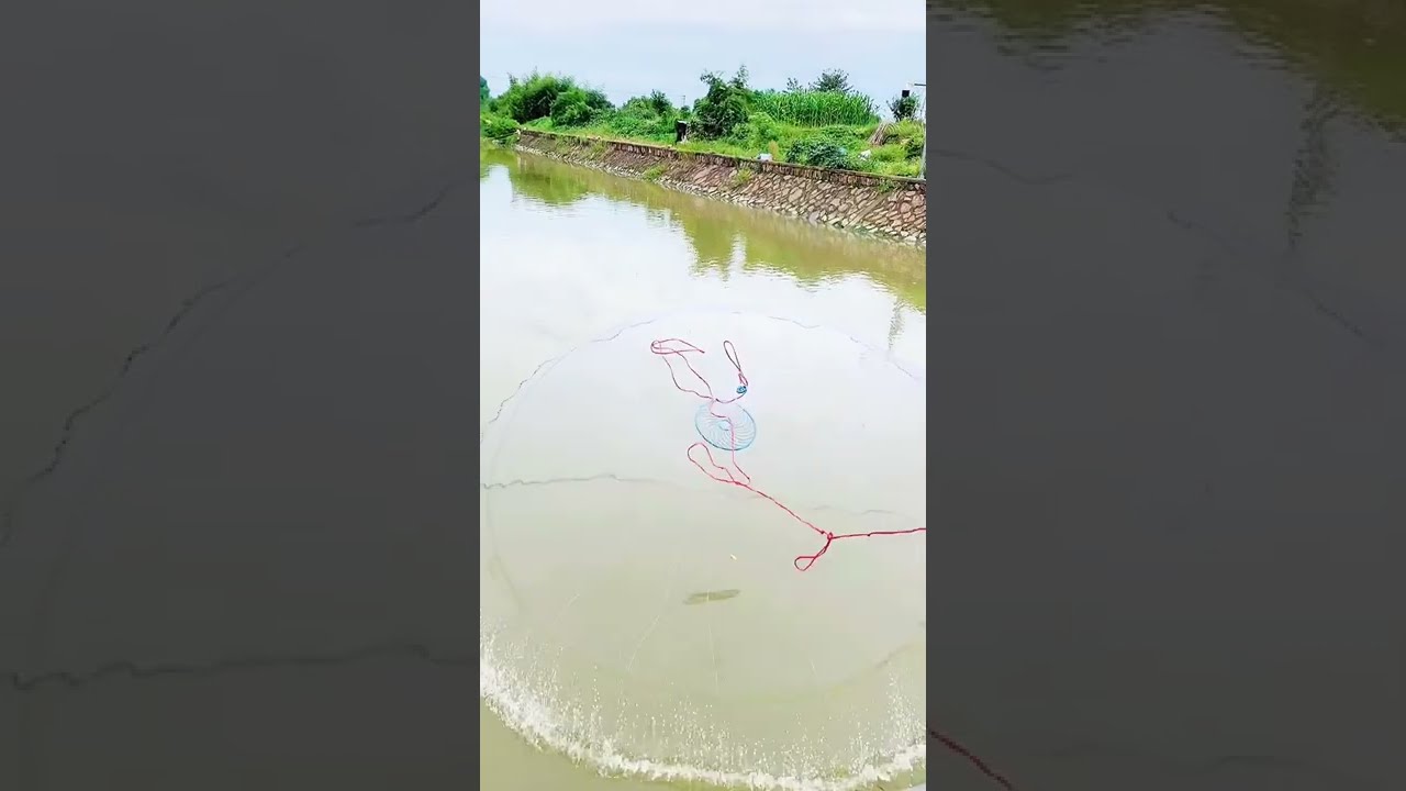 Wow Supper Catching Fish 543