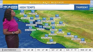 Forecast: A bit cooler