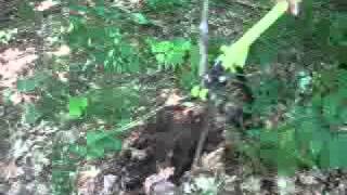 BG-02 Metal Handled Brush Grubber