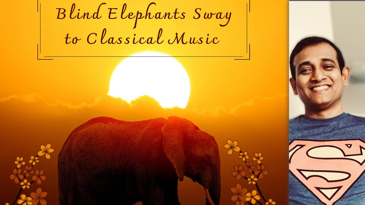 Blind Elephants Sway to Classical Music🐘🐘🎵🎵 YouTube