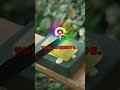 ルフィ「俺は女だって言ってんだよ!!!」サンジ「何言ってんだお前!?!?!」 #ワンピース #2ちゃんねる #なんj #ルフィ #shorts