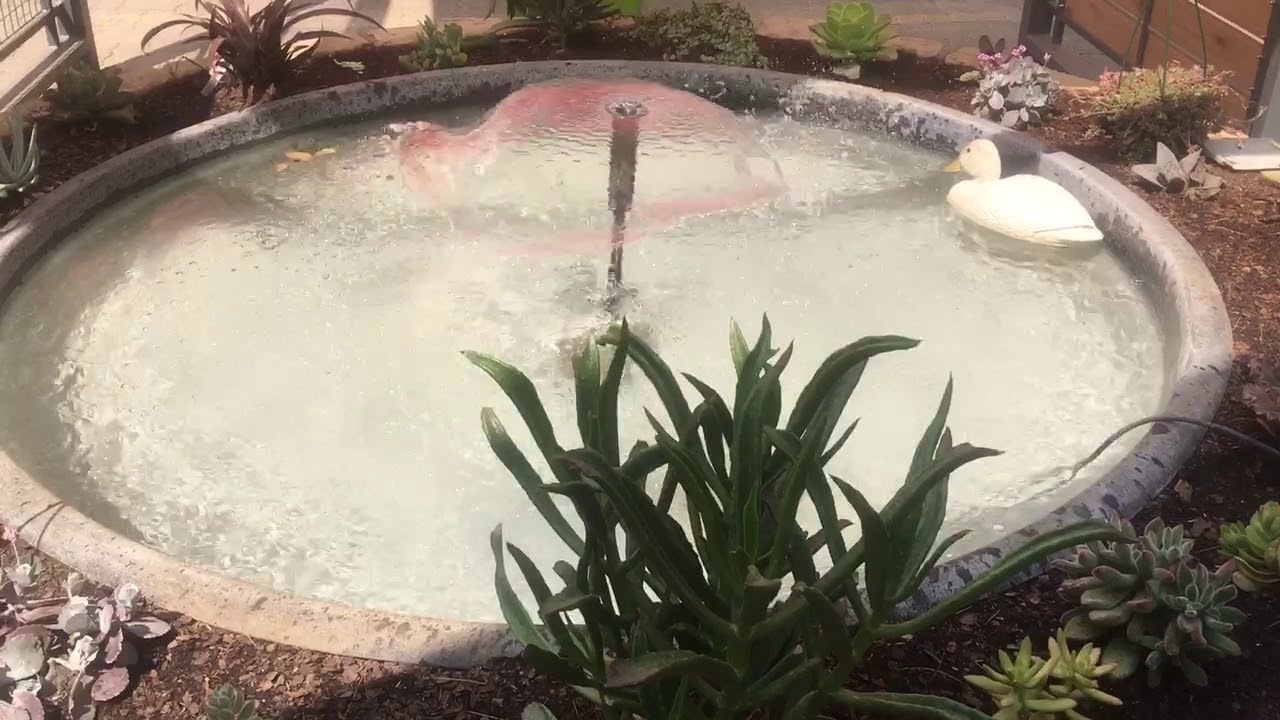 Water Feature at Pretty Gardens in Bloemfontein YouTube
