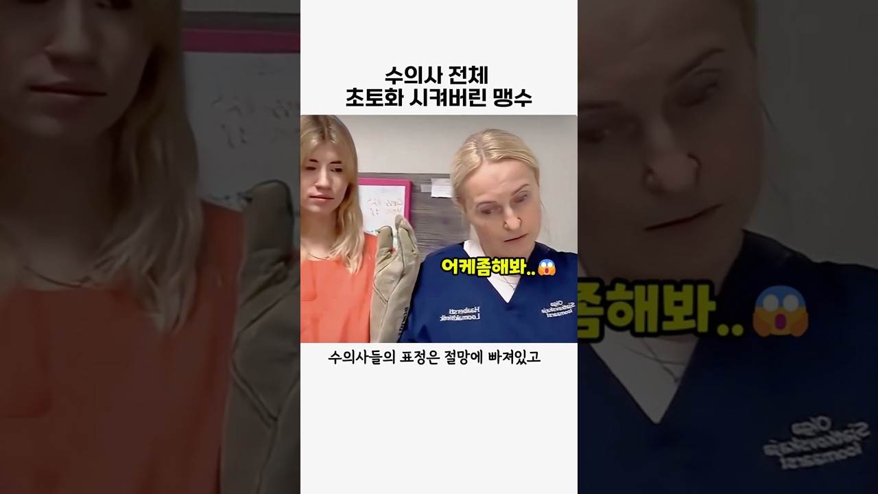 수의사들 초토화시킨 맹수 #동물#유머#힐링#animal#고양이
