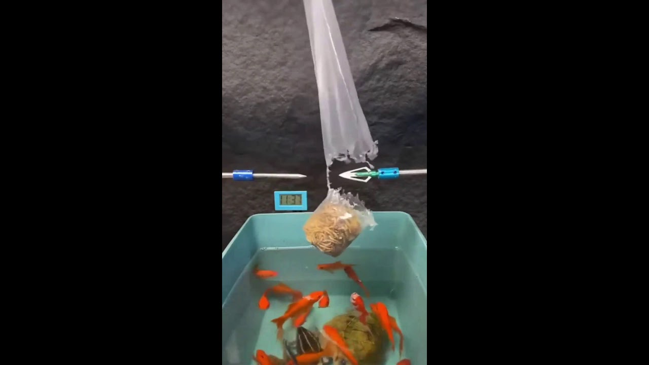 ИГРАЕМ НА СТРИМЕ ШОРТС