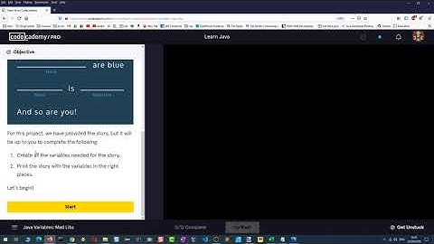 Learn Java - 2.2 Variables Project | Codecademy Walkthrough