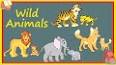 Vídeo de wild animals for kids english cartoon