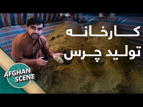 تصویری: تانک های مدرن چینی (عکس). بهترین تانک چینی