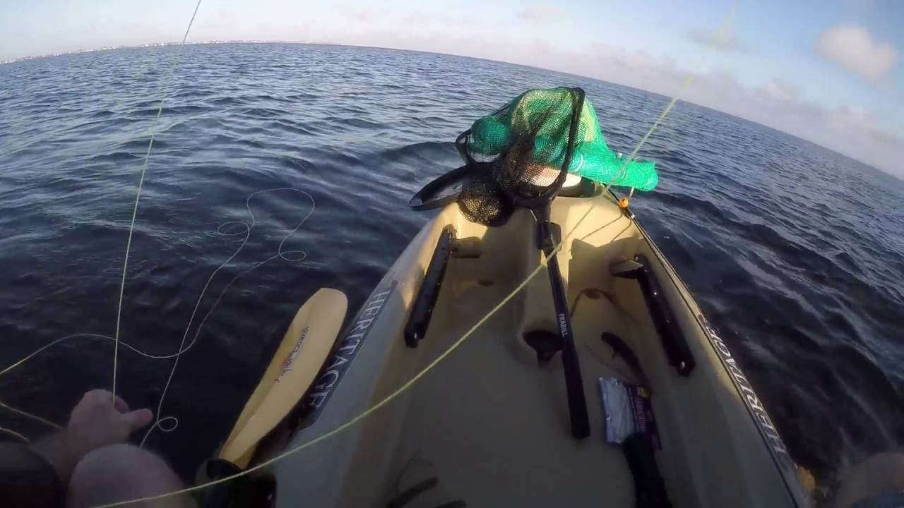 9 18 2016 kayak fishing trip, Bradenton Fl YouTube