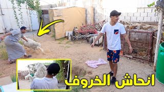 اول مره نشتري خروف العيد مع اخواني 😂🐏