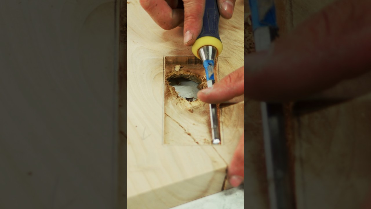 Knot Filler Basic Kit⎪Make easy wood repairs