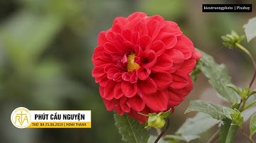 Phút Cầu Nguyện, Thứ Ba 25/06/2019:  Kinh Cầu Cùng Thiên Chúa Ba Ngôi