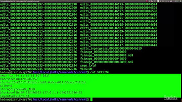 Getting Started with Hadoop 2.x : Formatting a HDFS | packtpub.com