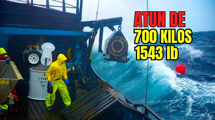 Así se Pesca el Atún Gigante en Altamar. PESCA RADICAL