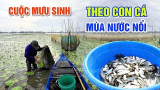 NƯỚC LŨ LÊN CAO, HÀNH TRÌNH MƯU SINH THEO CON CÁ MÙA NƯỚC NỔI NGHỀ ĐẶT DỚN | OKDD