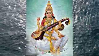 Rajalakshmi Tirunarayanan - Saraswathim Bhagawathim - Hamsa Vinodhini - Memorable Concert Excerpts