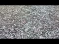 HOUNDDOG さよならの向こうに