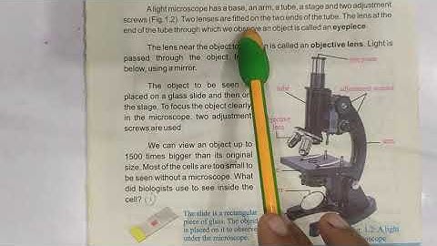 Science 6th Chapter 01 Exercise Solution - Part 2 of  5 - Cellular Organization Of Plants nd Animals