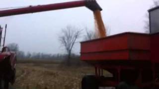 Corn harvest napanee on 2010