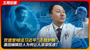 贺建奎喊话习近平“还我护照”，基因编辑狂人为何让人深深忧虑？｜贺建奎｜基因编辑婴儿｜HIV免疫｜基因敲除｜王局拍案 20250605