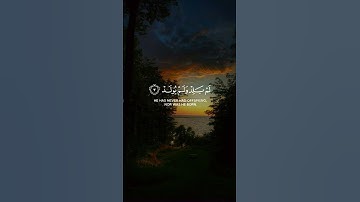 "سورة الإخلاص… كأنك قرأت ثلث القرآن!"