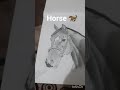 #horse# sketch ♥✨🐎🐴